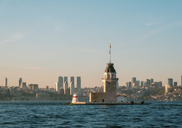 №11
