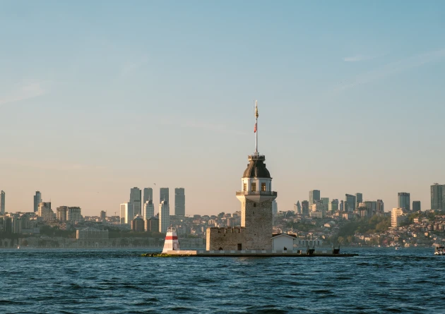 №11
